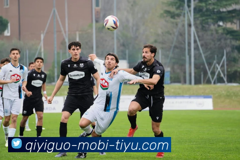 奇异果体育平台生态图